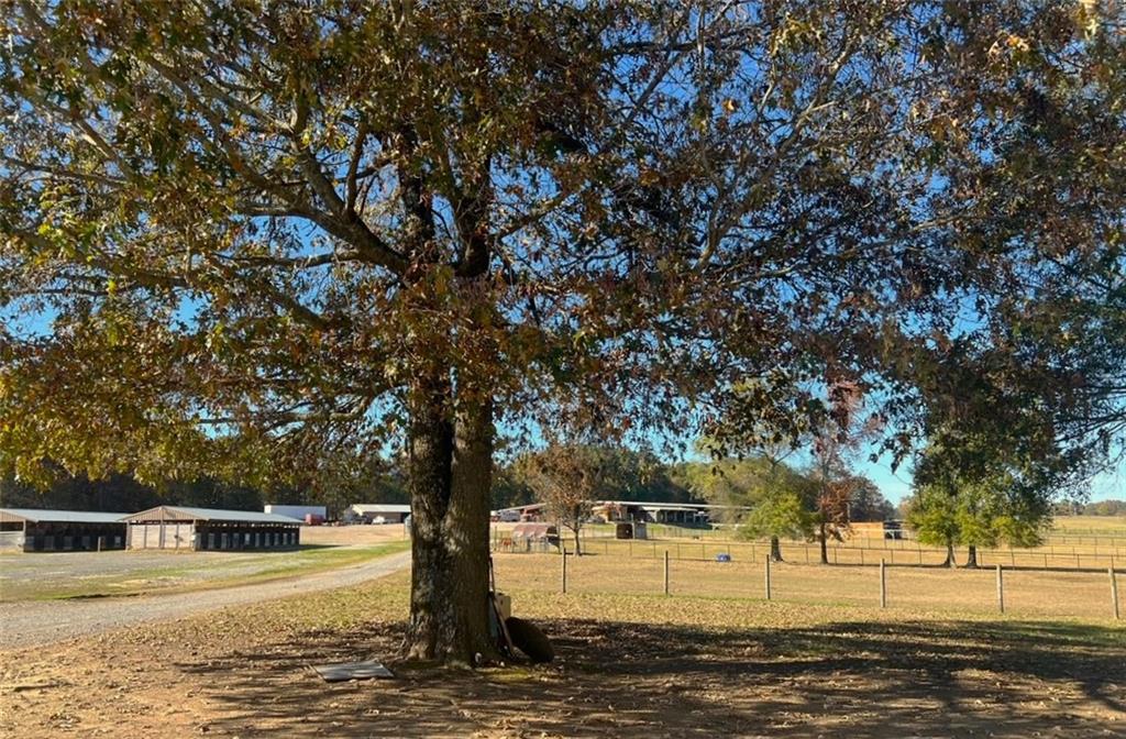 486 County Line Road Resaca, GA 30735 - Photo 53 of 66 a view of a yard with an outdoor space
