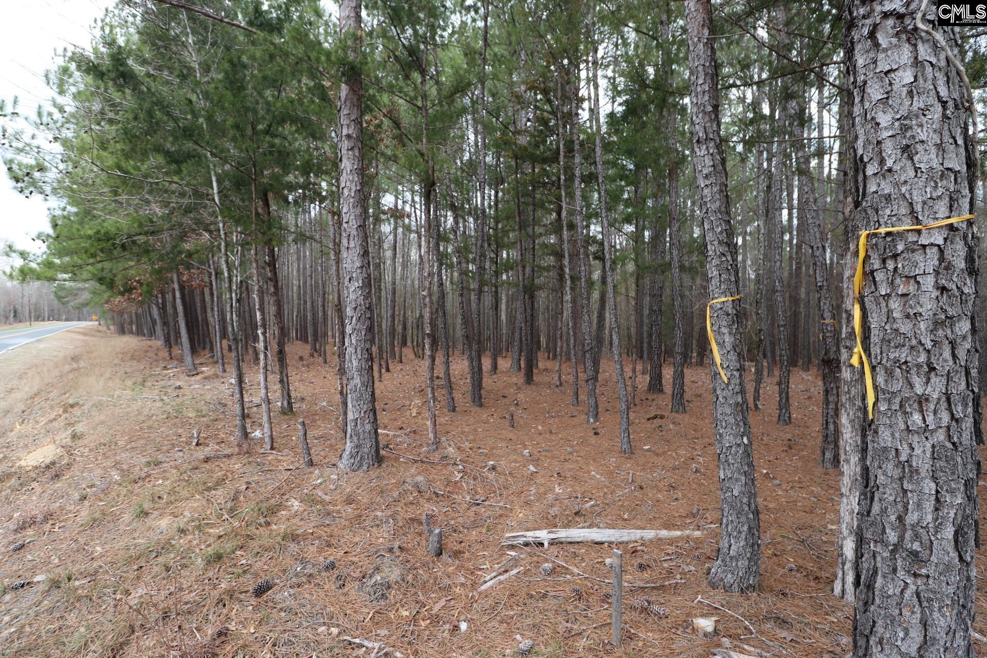 Lot 229 Granny Hill Road Prosperity, SC 29127 - Photo 44 of 61
