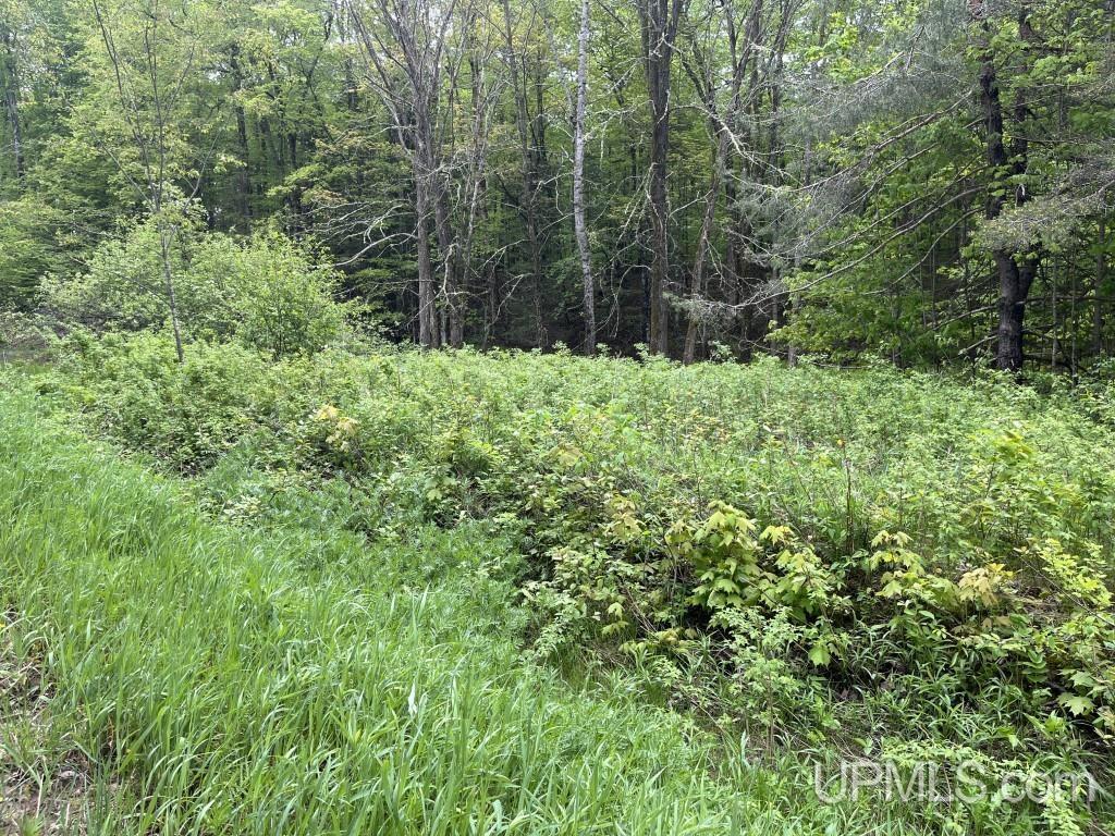 Tbd Tbd 26th Road Chatham, MI 49816 - Photo 3 of 15
