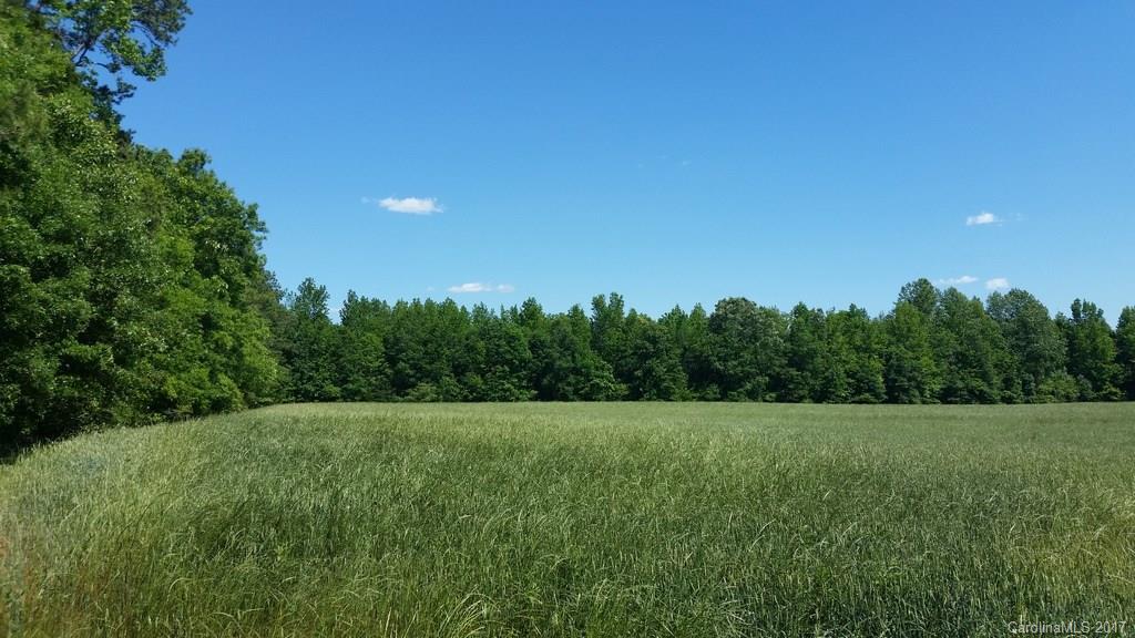 3634 Old Hickory Road Lancaster, SC 29720 - Photo 4 of 10 a view of a green field with trees in the background