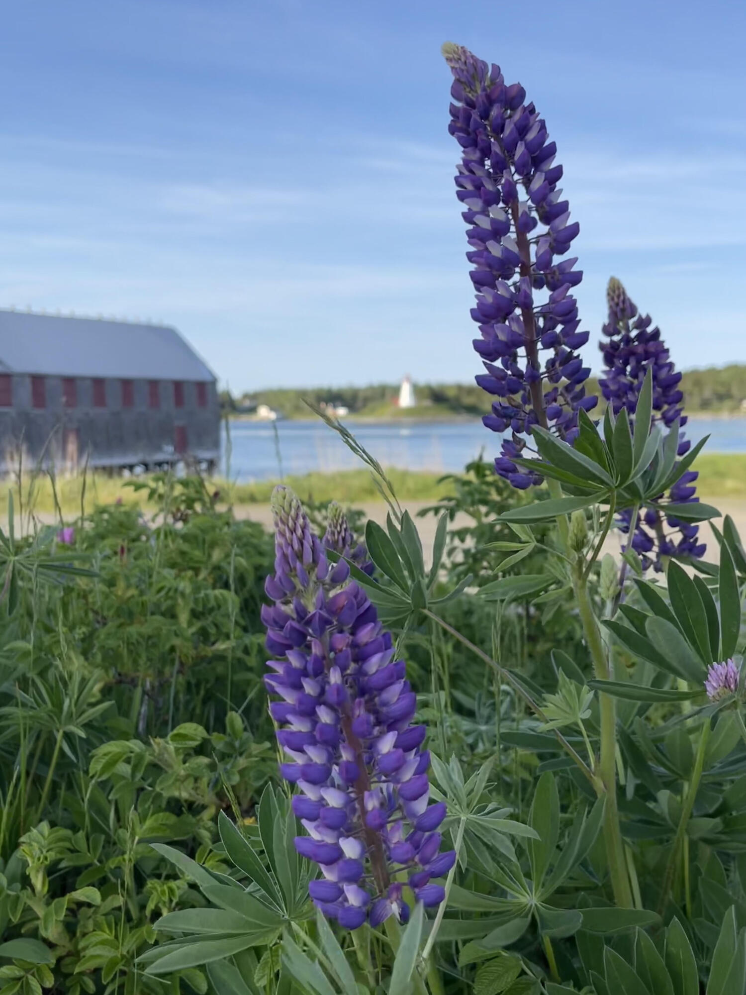 54 North Water Street Lubec, ME 04652 - Photo 9 of 18 54 Water Street