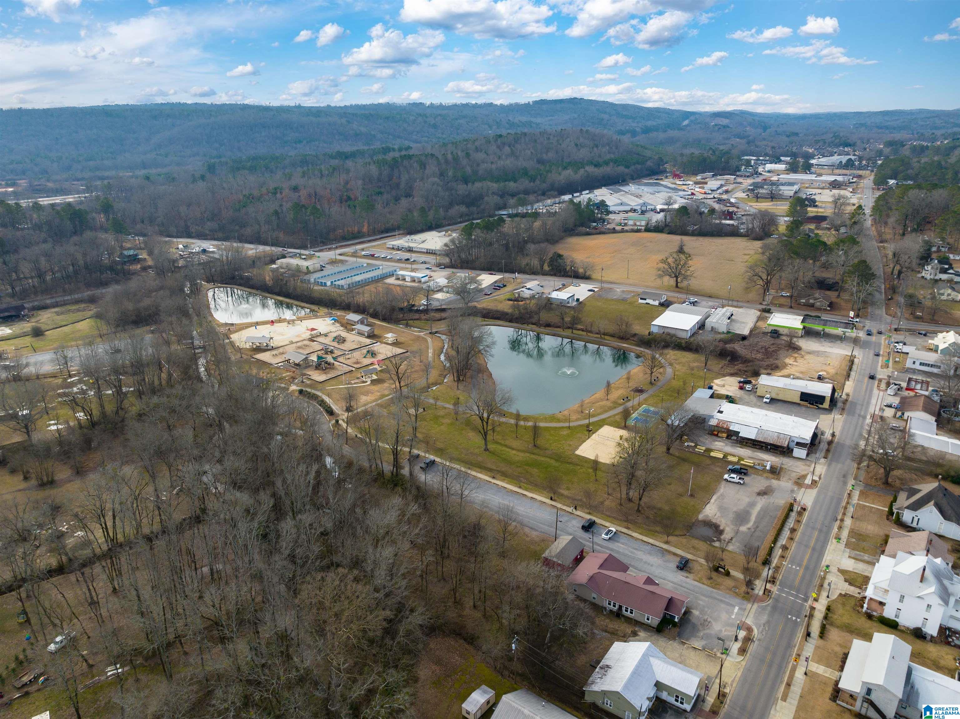 21 Bruce Street Springville, AL 35146 - Photo 40 of 43