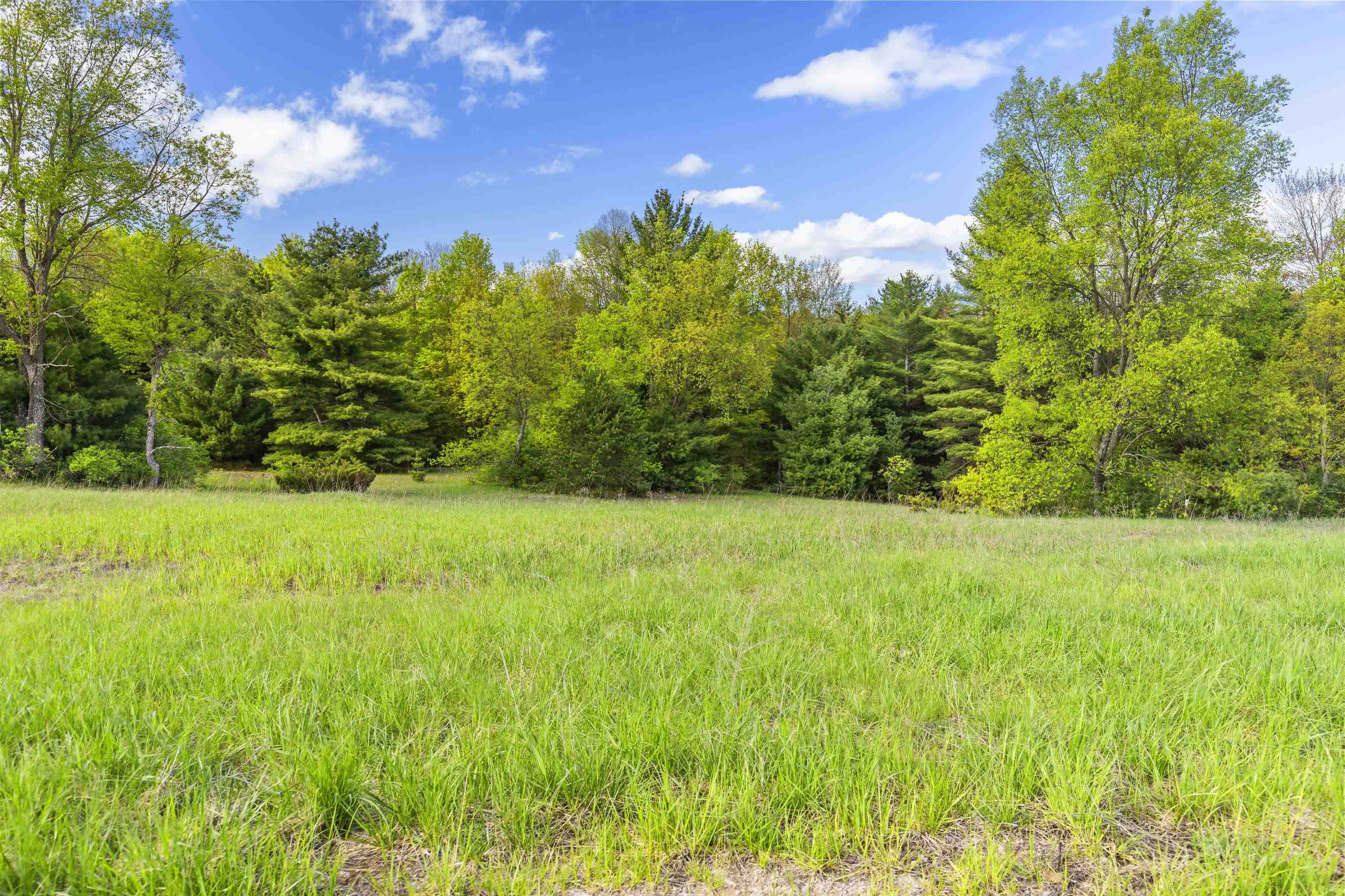 0 Honor Highway, Unit 0RIANN'S RUN Interlochen, MI 49643 - Photo 10 of 11