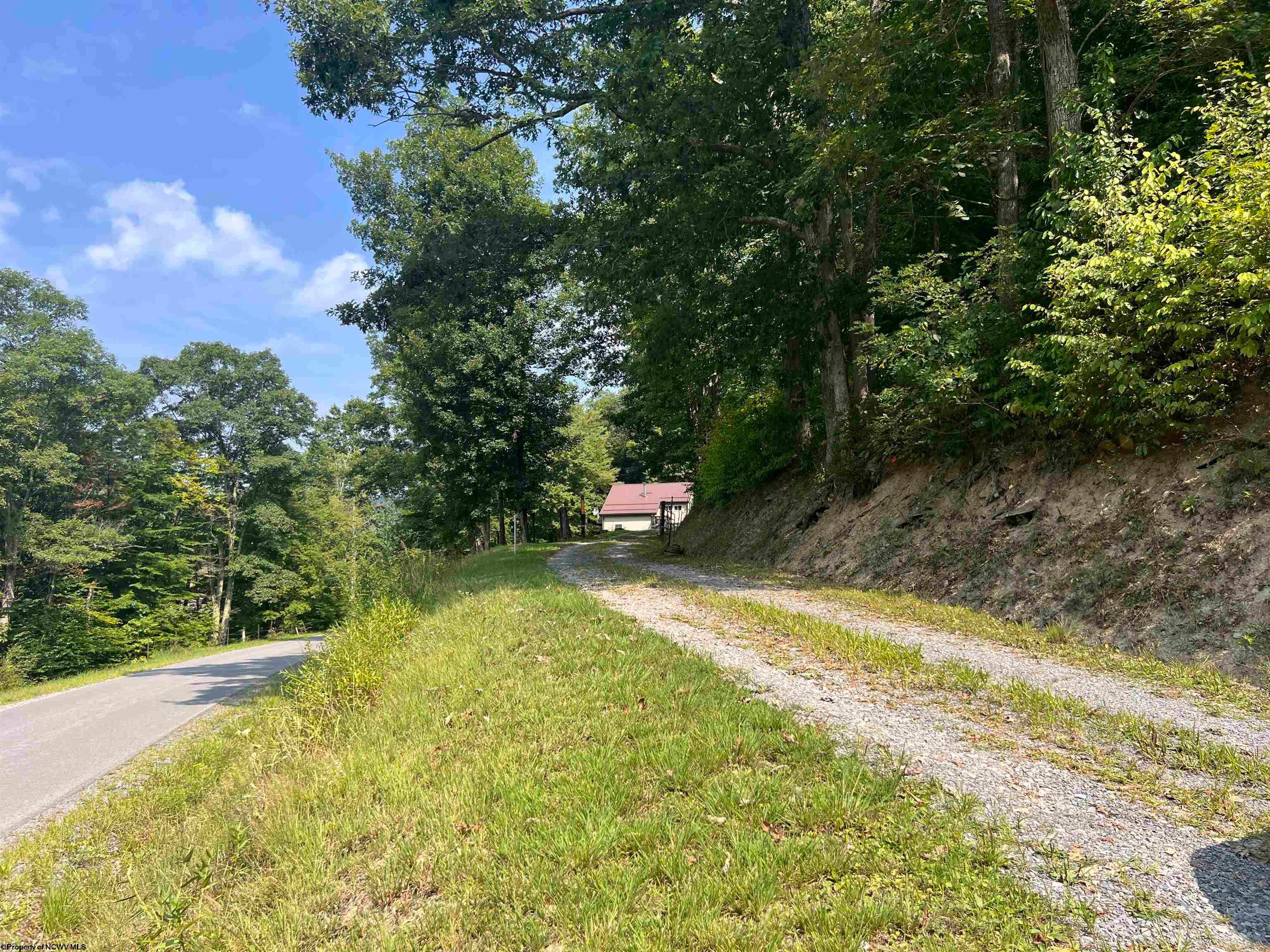 6176 Clover Run Road Parsons, WV 26287 - Photo 3 of 36 Gallery Image 3