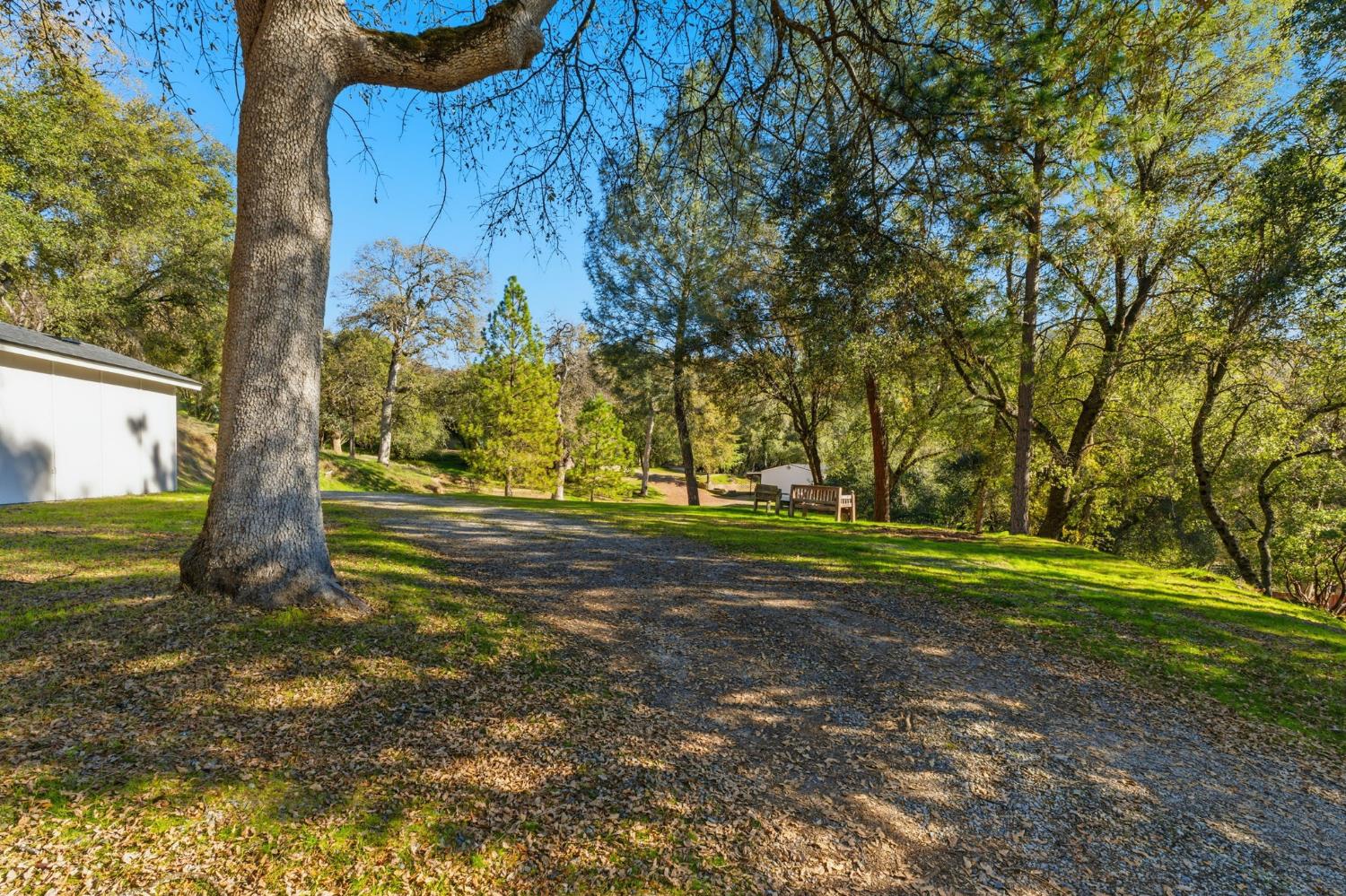 40089 John West Road Oakhurst, CA 93644 - Photo 4 of 59 a view of a yard