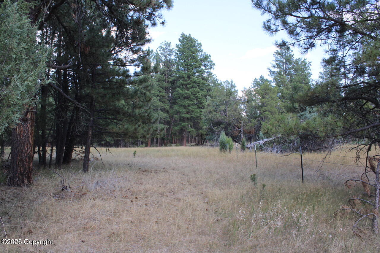 Lot 11 Bruin Road Alzada, MT 59311 - Photo 48 of 51 Gallery Image 48