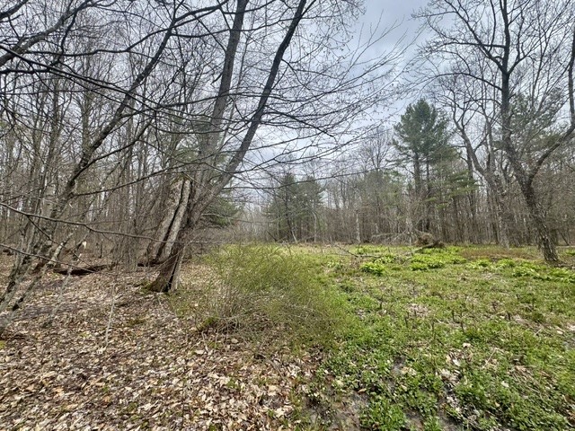 Lot 4 Shaver Hill Road Meridale, NY 13806 - Photo 26 of 44