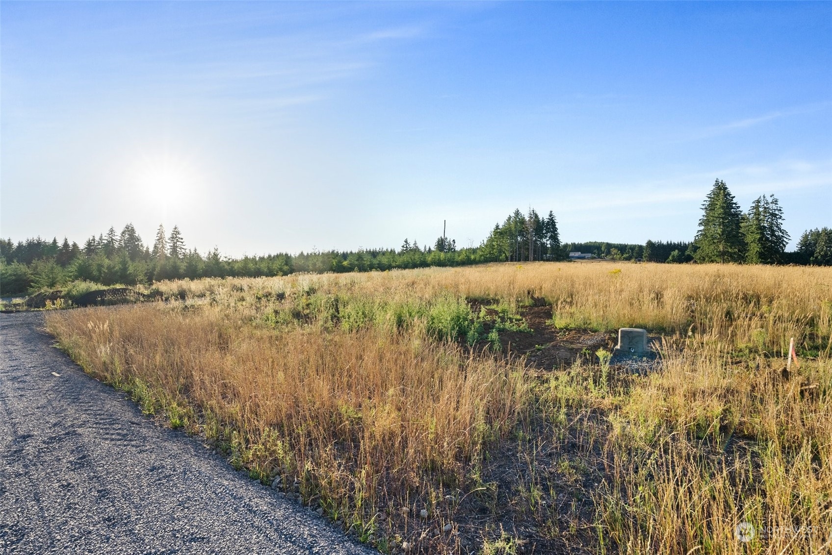 121 Brim Ridge Lane Winlock, WA 98596 - Photo 4 of 31 a view of lake with plants in background