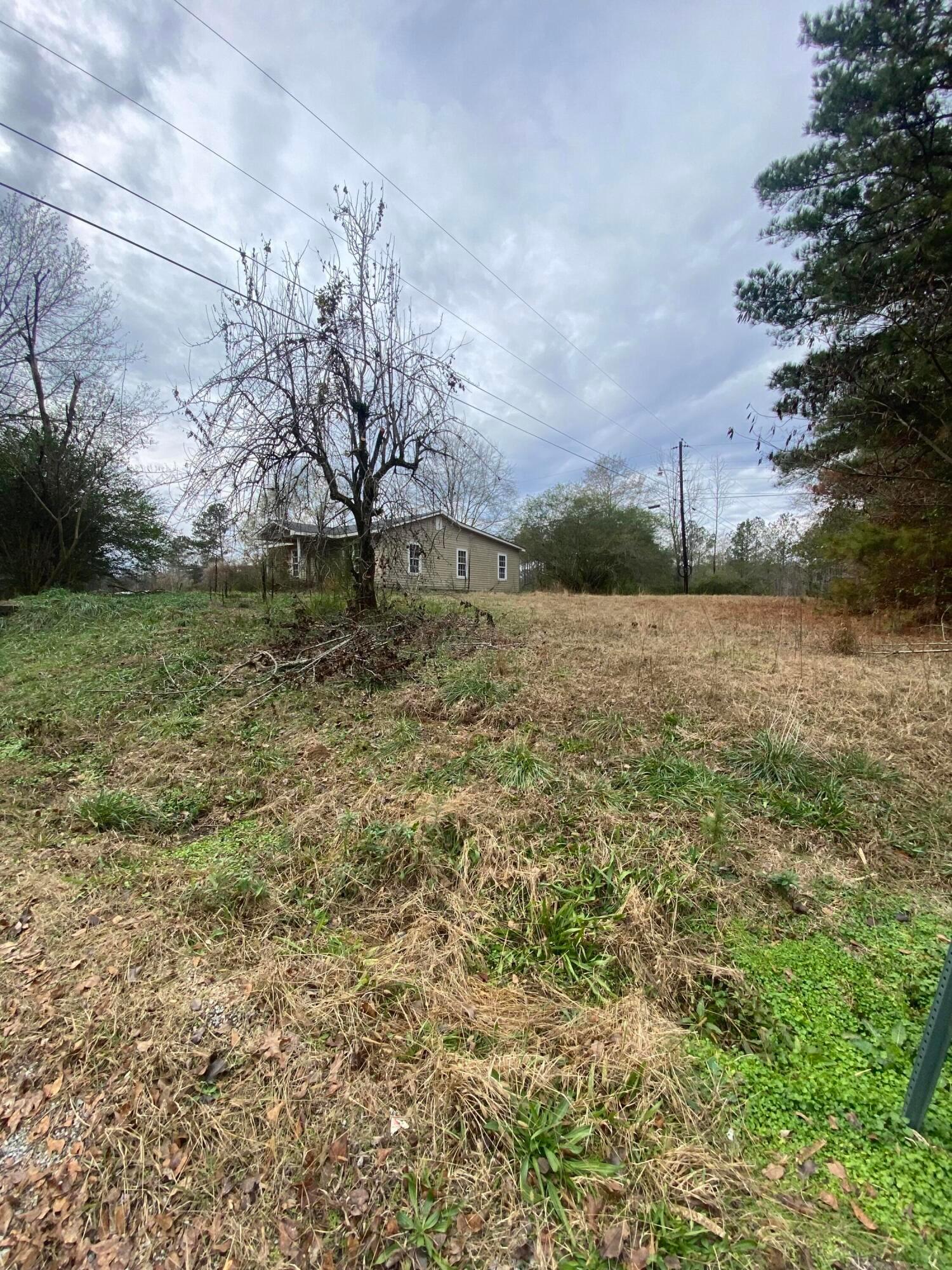 2509 Trotter Road Nauvoo, AL 35578 - Photo 3 of 4 IMG_6898