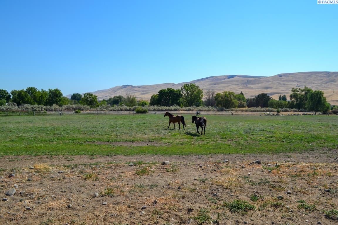 90544 West Hess Road Prosser, WA 99350 - Photo 45 of 50 Gallery Image 45