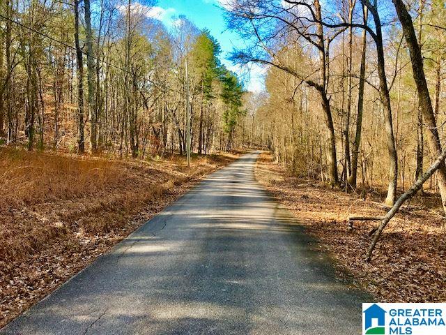 241 Valley Creek Road Piedmont, AL 36272 - Photo 4 of 13