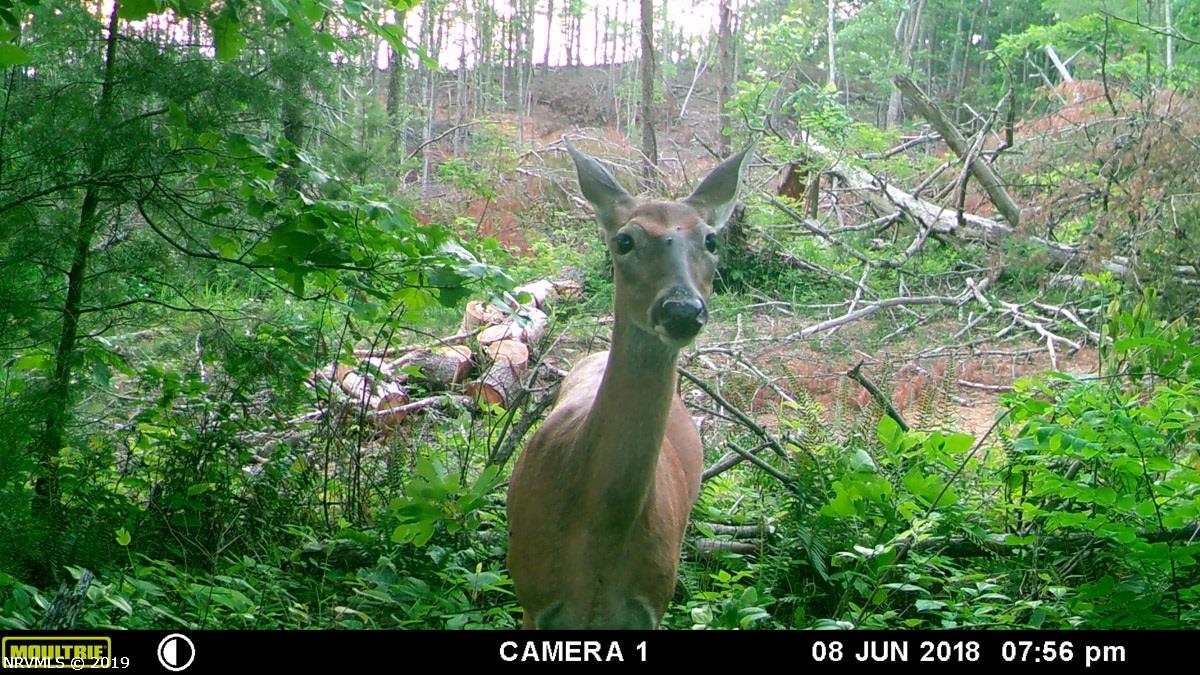 0 Daniel Road Northeast Copper Hill, VA 24079 - Photo 29 of 38 Gallery Image 29