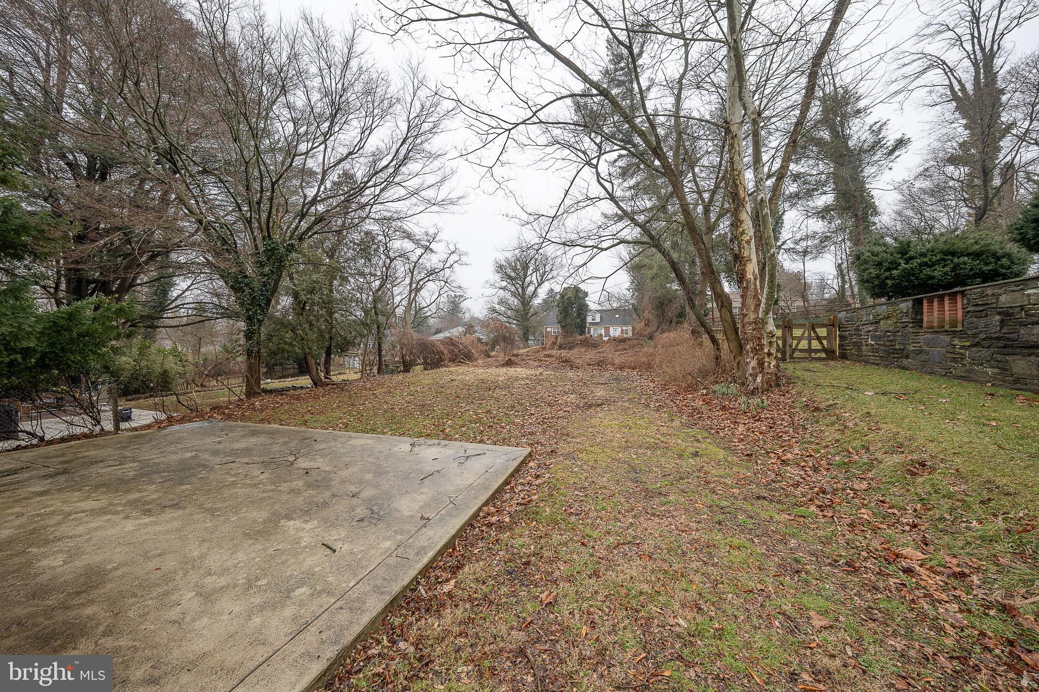622 Spring Avenue Elkins Park, PA 19027 - Photo 61 of 65 a view of a yard with trees
