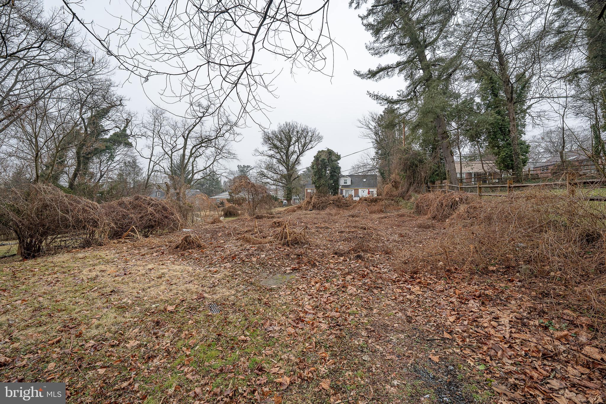 622 Spring Avenue Elkins Park, PA 19027 - Photo 63 of 65 a view of a yard with trees