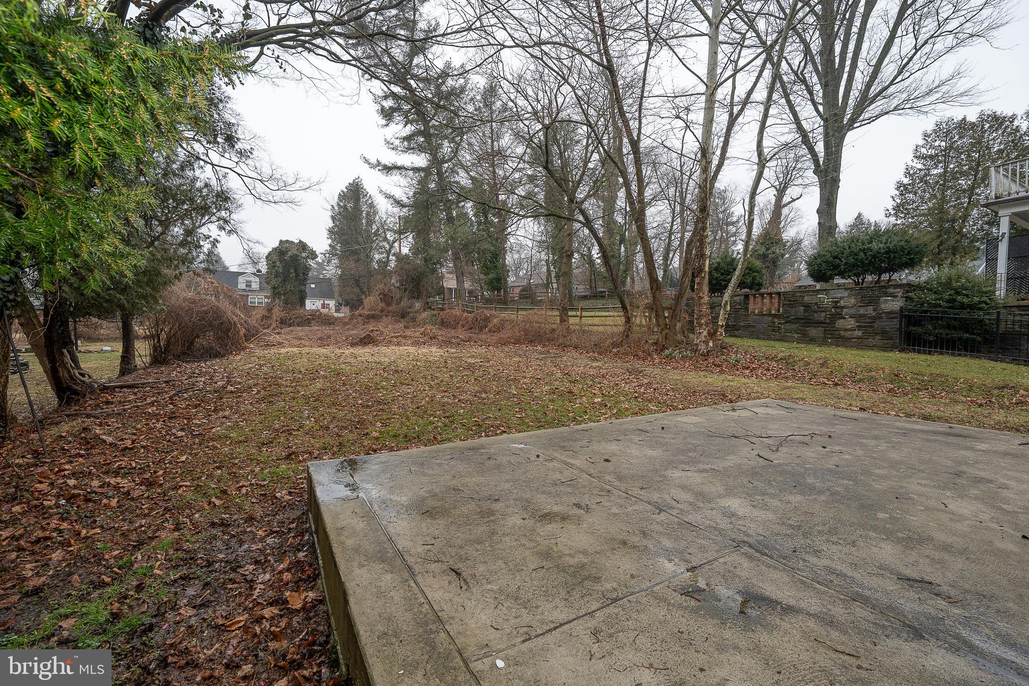 622 Spring Avenue Elkins Park, PA 19027 - Photo 65 of 65 a view of a yard with trees