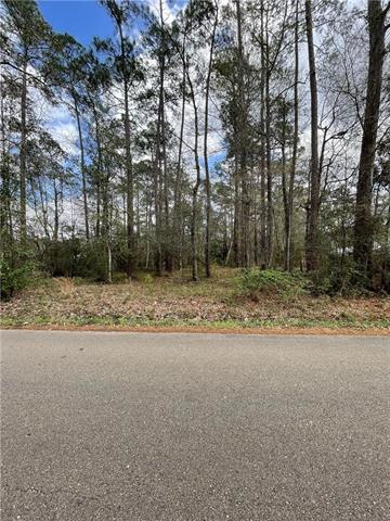 0 Kustenmacher Road Abita Springs, LA 70420 - Photo 2 of 2