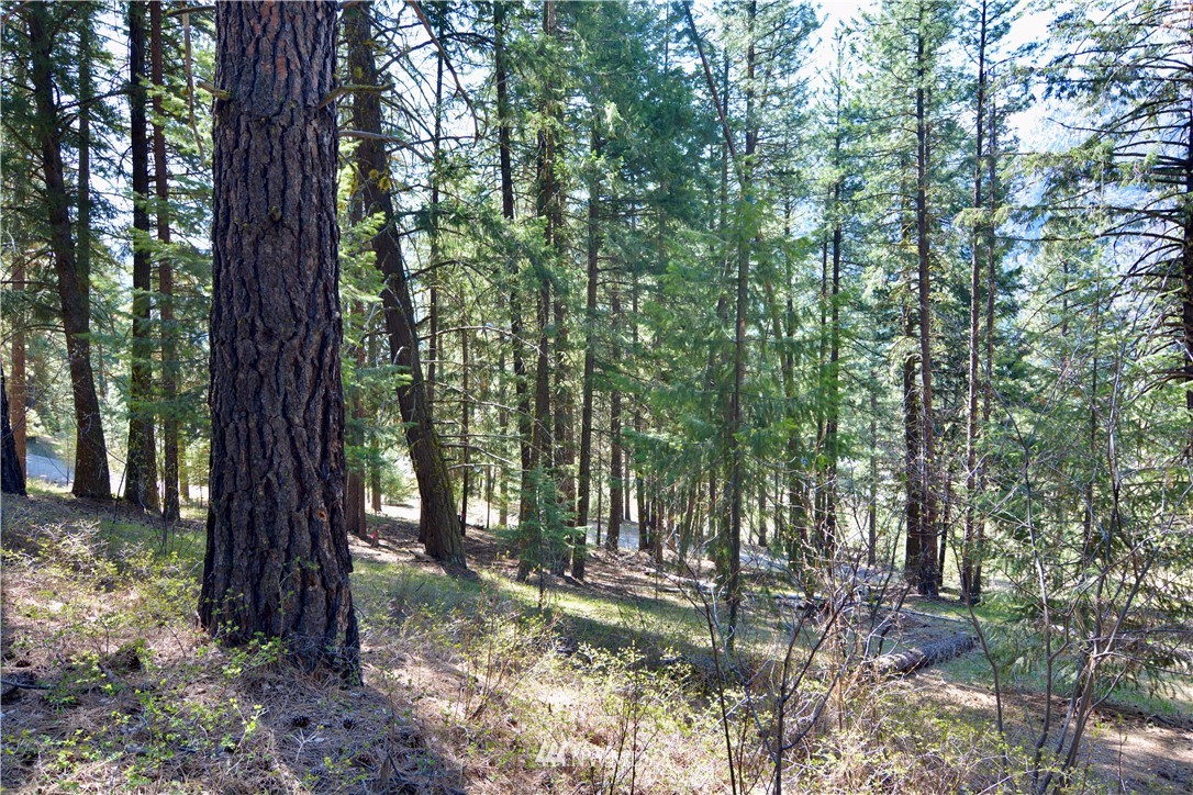 9 Quaking Aspen Road Winthrop, WA 98862 - Photo 14 of 17