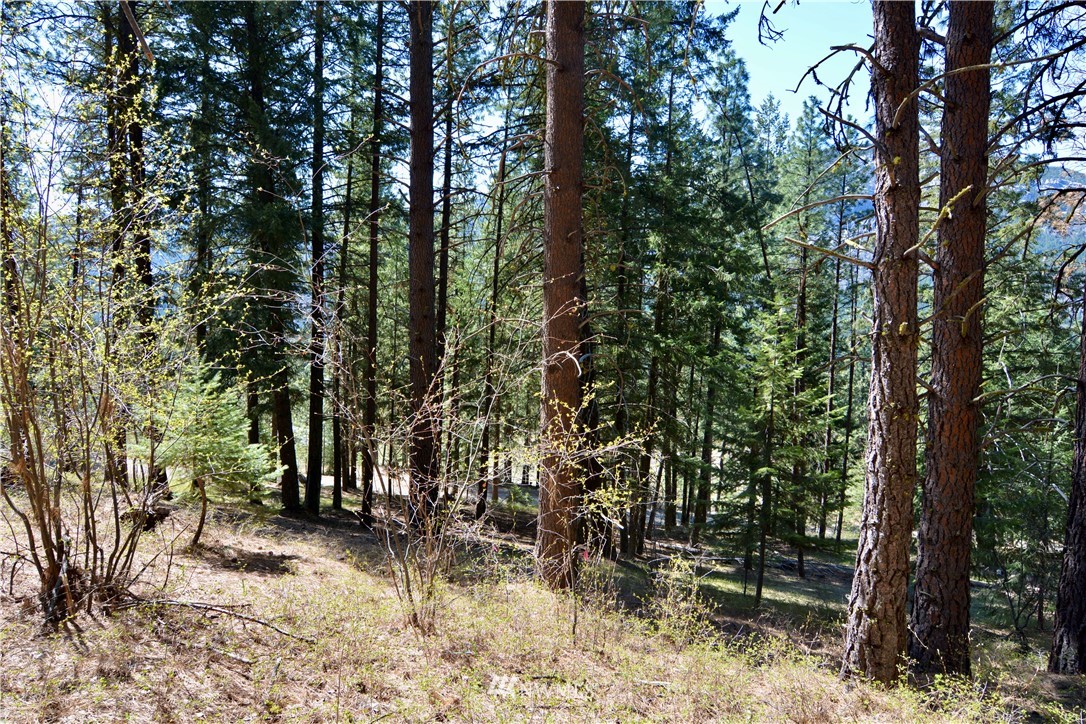9 Quaking Aspen Road Winthrop, WA 98862 - Photo 3 of 17
