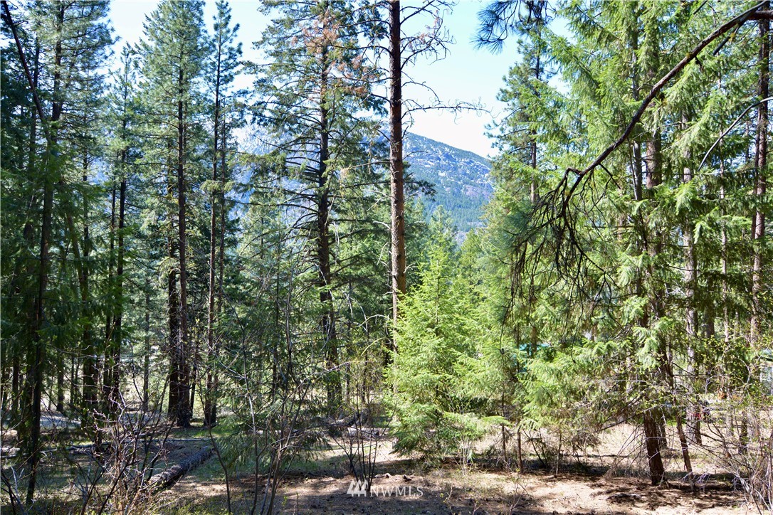 9 Quaking Aspen Road Winthrop, WA 98862 - Photo 8 of 17