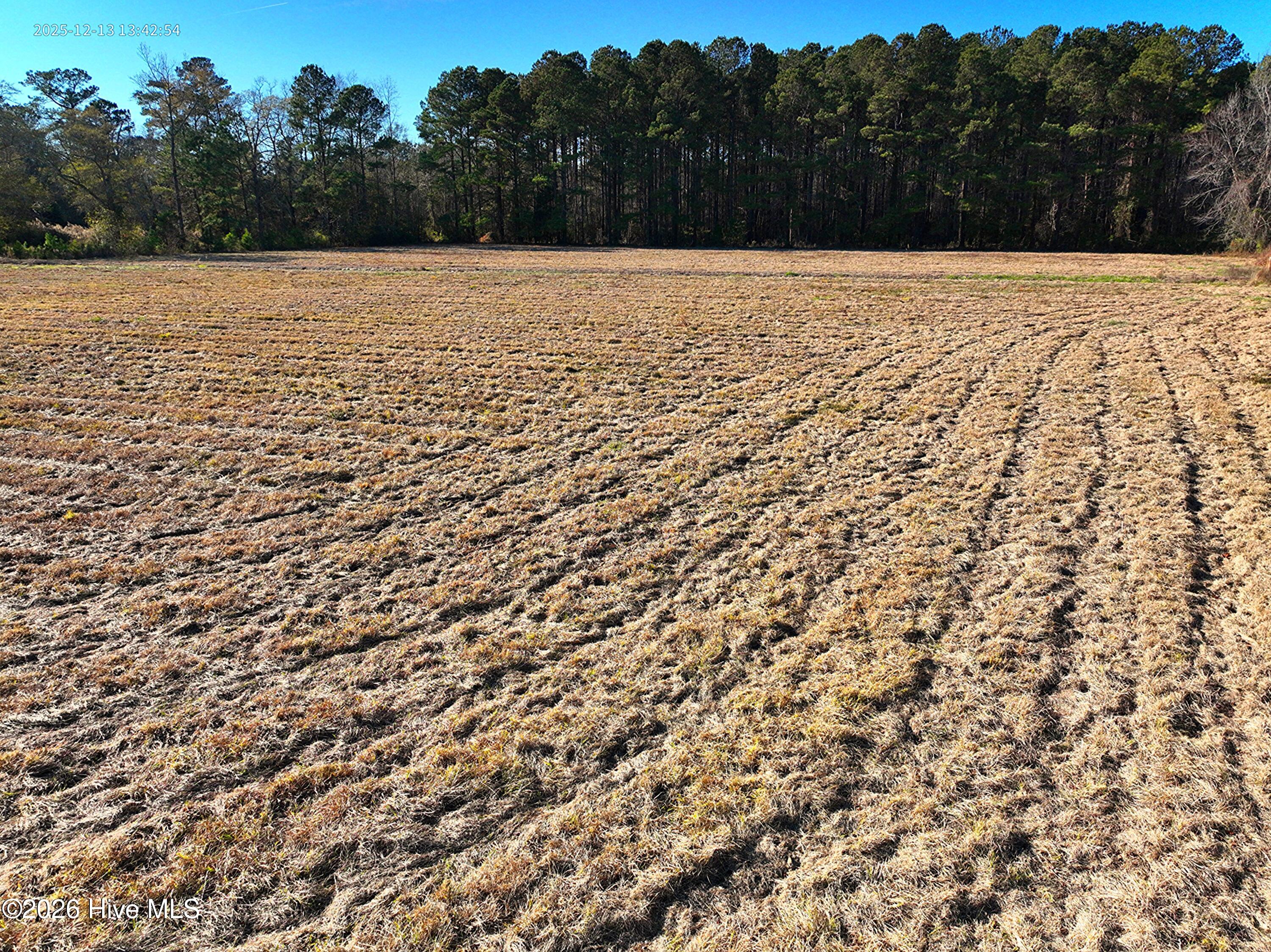 15.63 Croomsbridge Road Burgaw, NC 28425 - Photo 8 of 13 Copy of DJI_20251213134254_0023_V