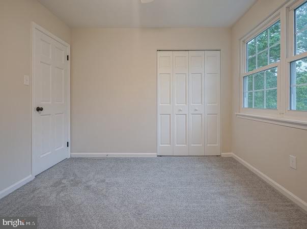 53 Winfield Road Sicklerville, NJ 08081 - Photo 40 of 45