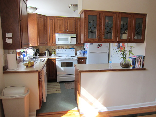 322 Alles Street Des Plaines, IL 60016 - Photo 4 of 12