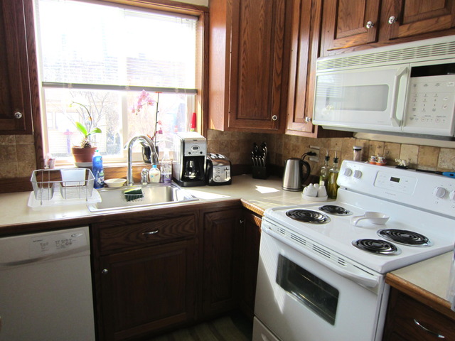 322 Alles Street Des Plaines, IL 60016 - Photo 5 of 12