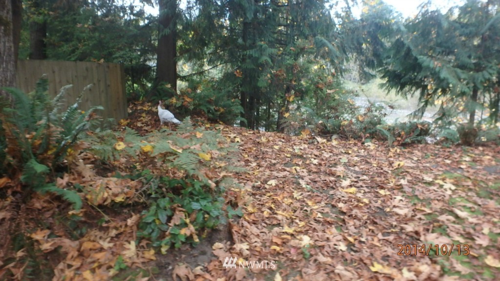 20032 Crystal Springs Road Granite Falls, WA 98252 - Photo 6 of 23 Gallery Image 6