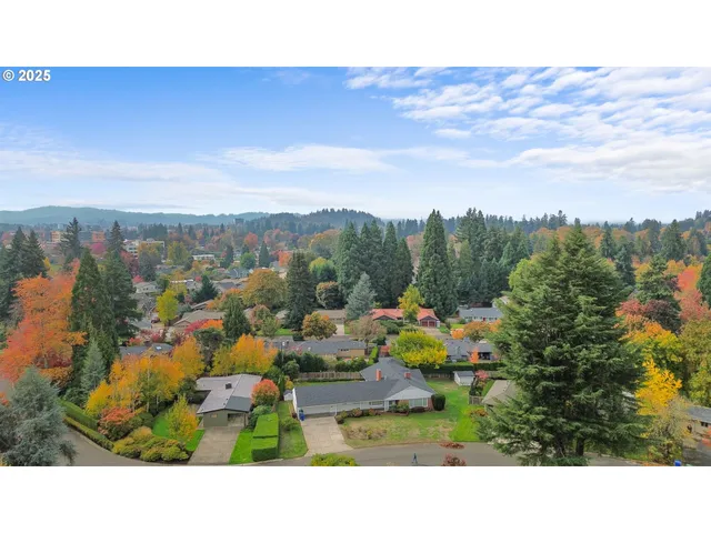 a view of city and mountain