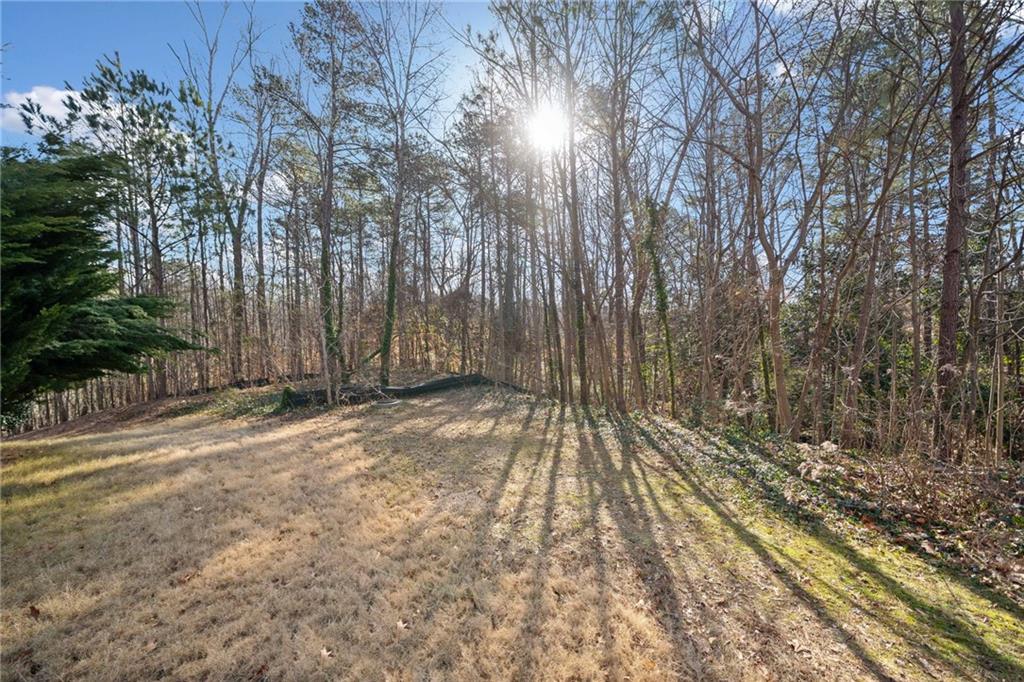 570 Belada Boulevard Sandy Springs, GA 30342 - Photo 3 of 5 a view of backyard with pathway