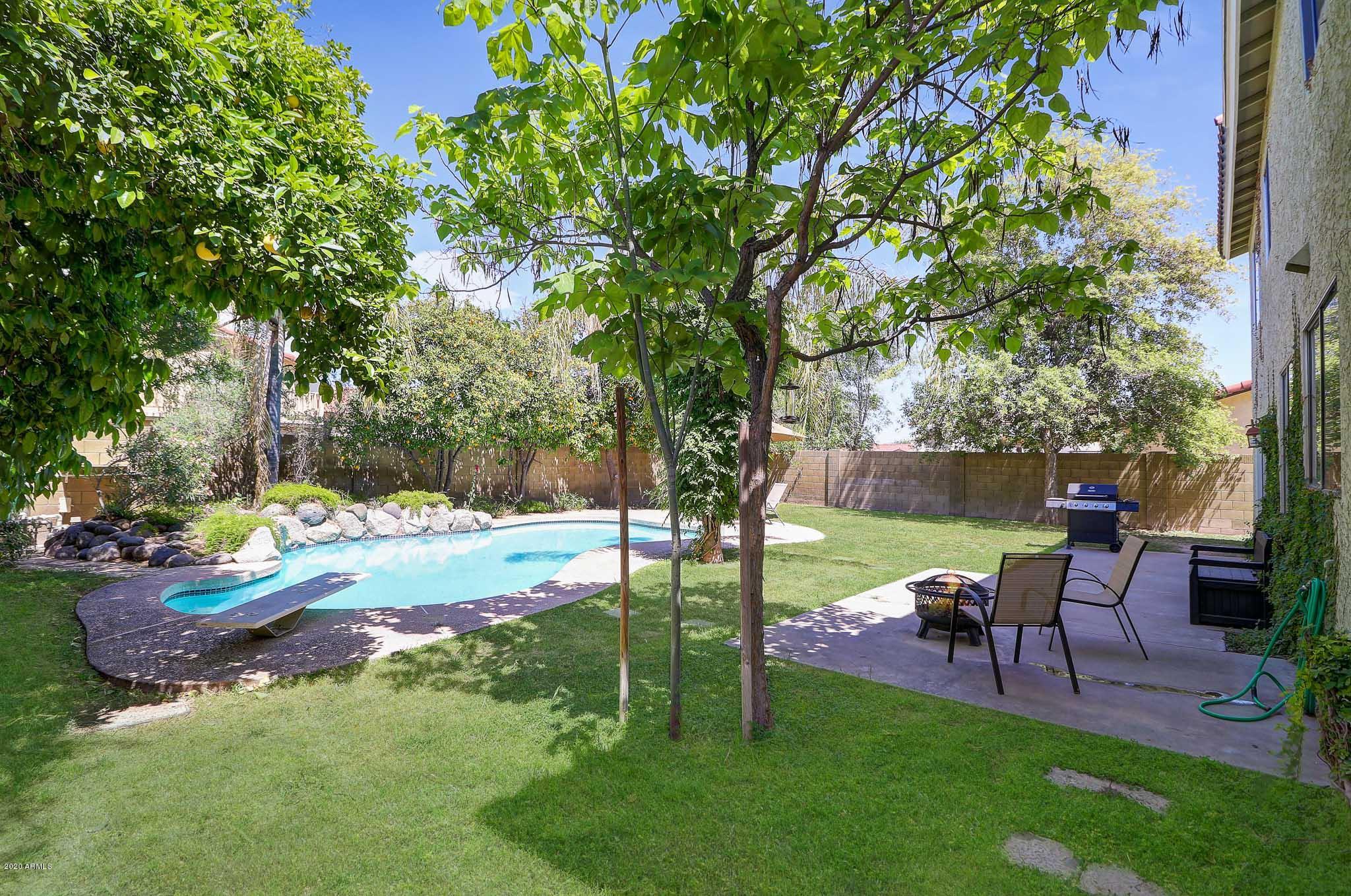 1902 East Redfield Road Phoenix, AZ 85022 - Photo 21 of 31 a view of a backyard with table and chairs potted plants and a large tree