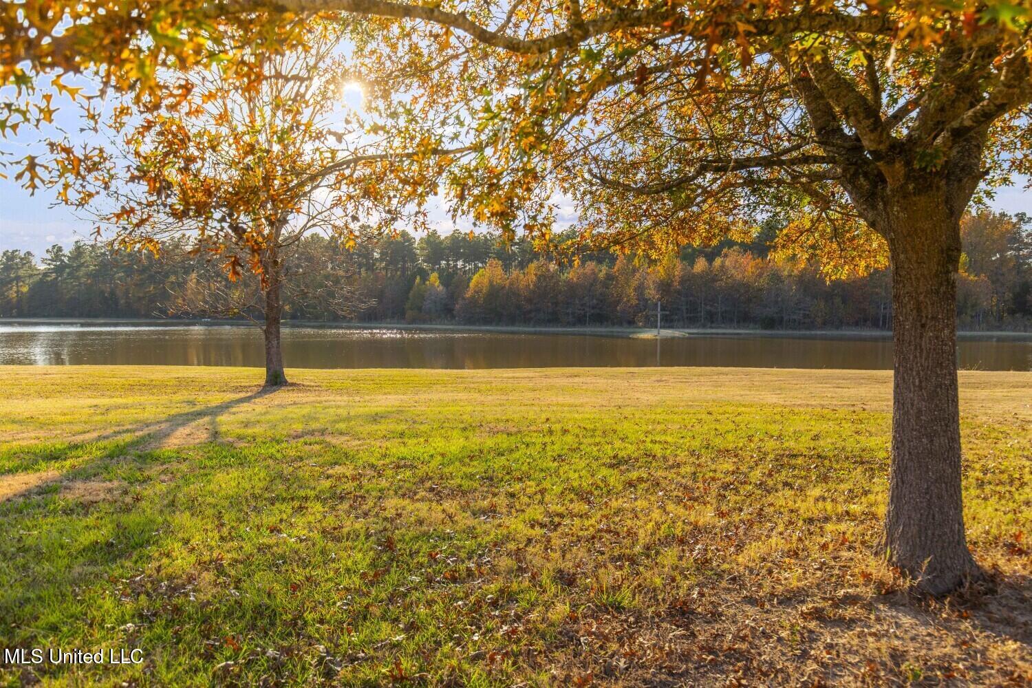 415 Rose Hill Road Bentonia, MS 39040 - Photo 40 of 73 6925dfa6d195c