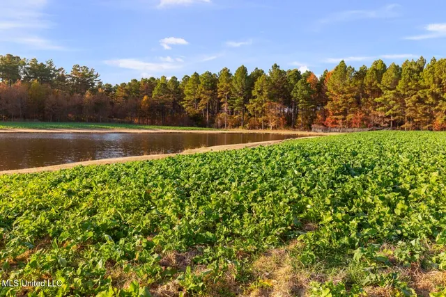 $5,400,000 | 415 Rose Hill Road, Bentonia, MS 39040