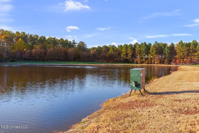 $5,400,000 | 415 Rose Hill Road, Bentonia, MS 39040