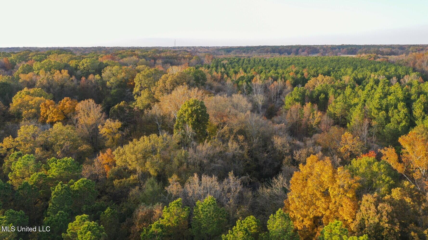 415 Rose Hill Road Bentonia, MS 39040 - Photo 46 of 73 6925dfed6797f