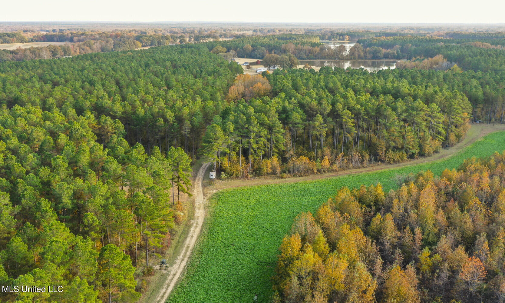 415 Rose Hill Road Bentonia, MS 39040 - Photo 48 of 73 6925e00c216b8