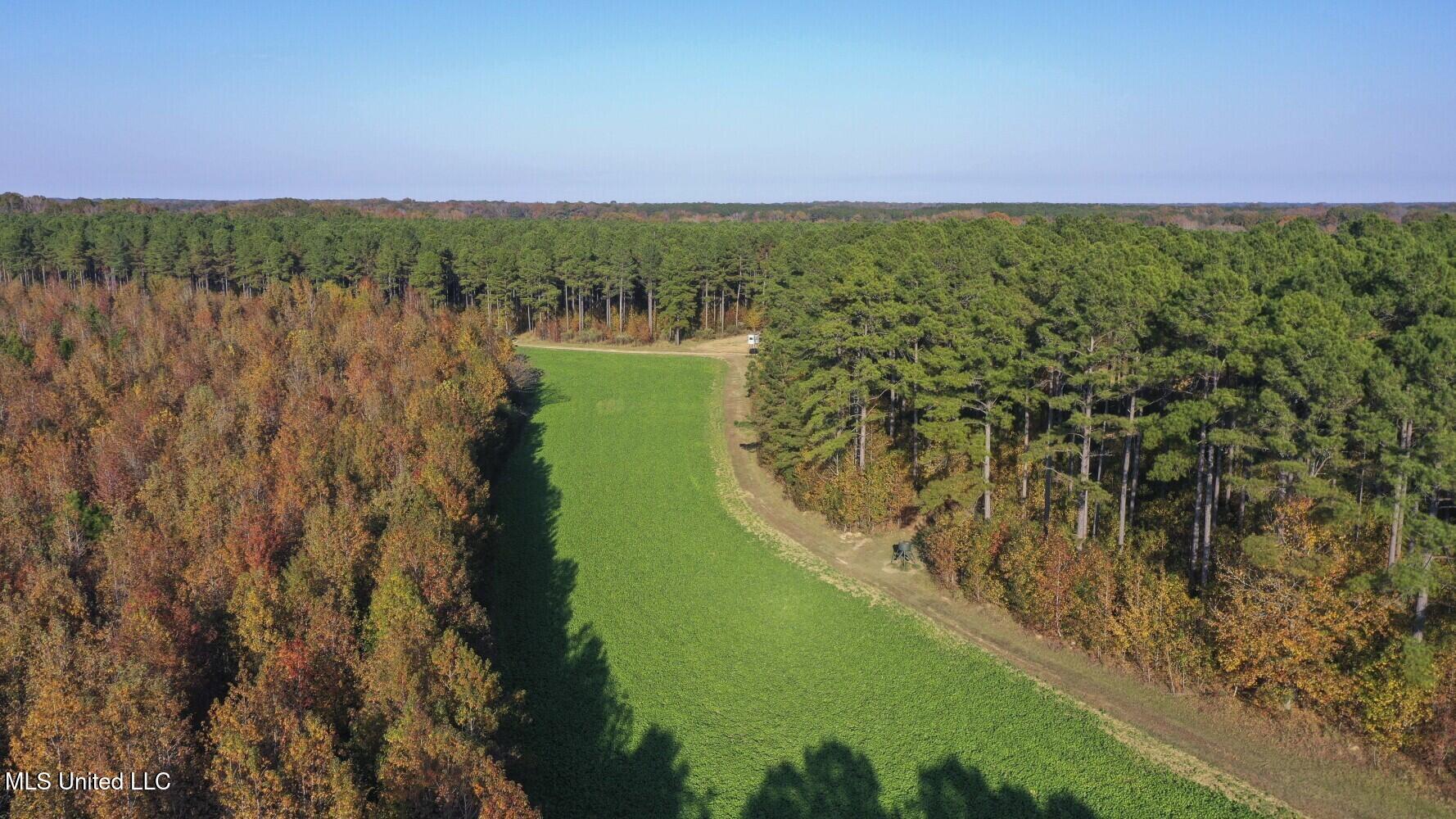 415 Rose Hill Road Bentonia, MS 39040 - Photo 49 of 73 6925e01fa4b59