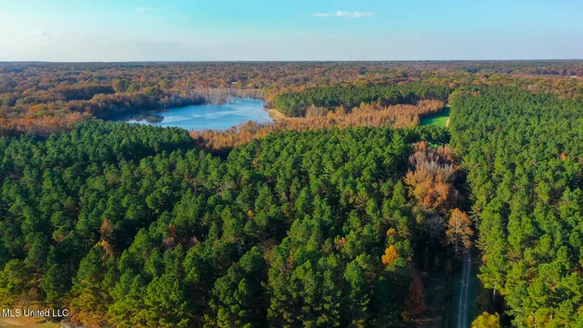 $5,400,000 | 415 Rose Hill Road, Bentonia, MS 39040