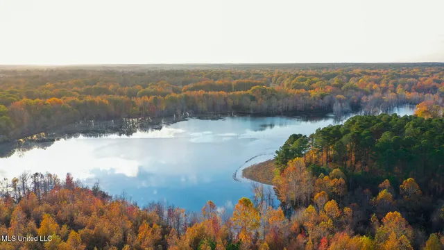 $5,400,000 | 415 Rose Hill Road, Bentonia, MS 39040