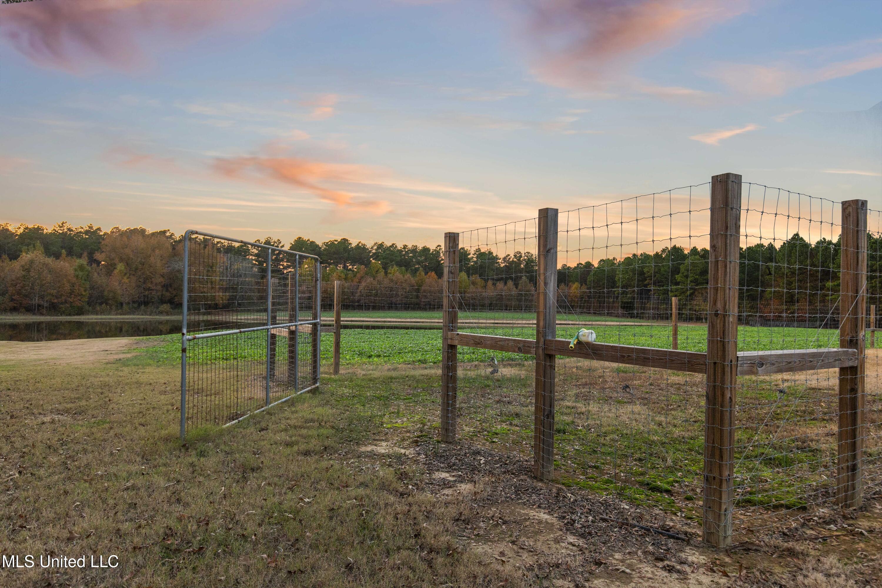 415 Rose Hill Road Bentonia, MS 39040 - Photo 61 of 73 Williamson Farm-142