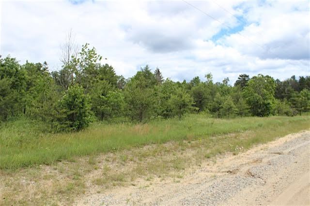 0 West 4 Mile Road Grayling, MI 49738 - Photo 4 of 4 Gallery Image 4