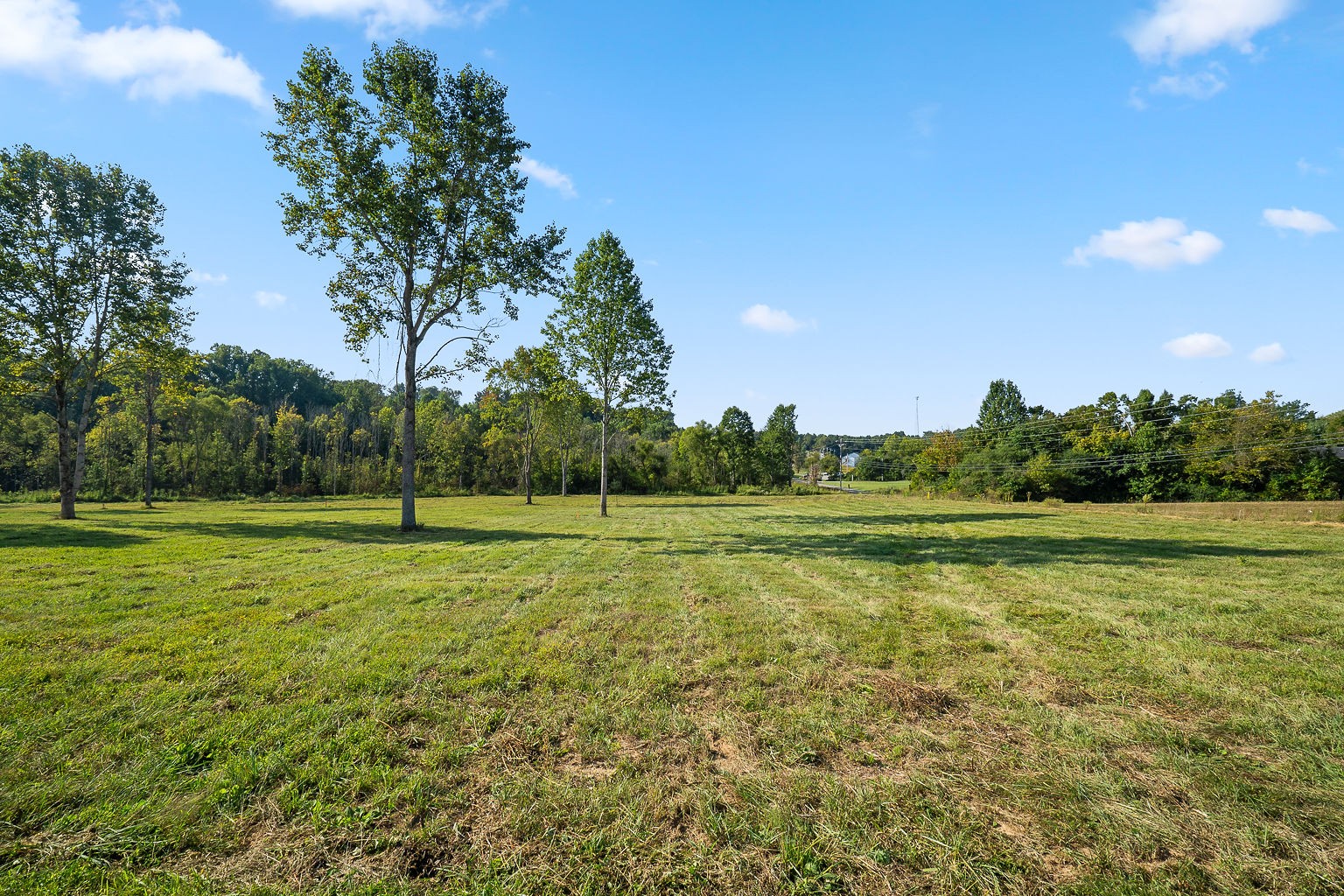 3381 Dodson Branch Road Cookeville, TN 38501 - Photo 16 of 22 Gallery Image 16