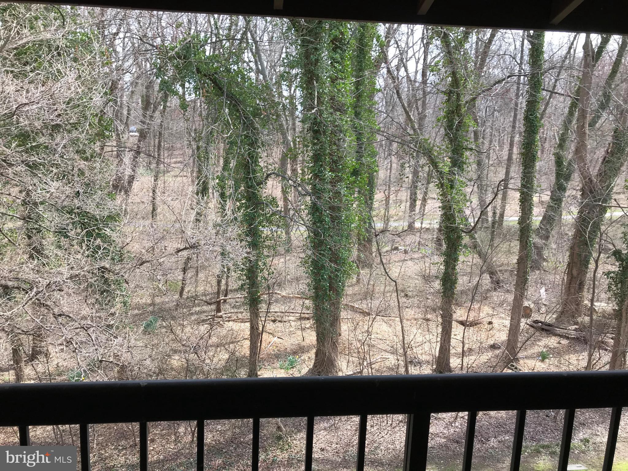 5701 Harpers Farm Road, Unit F Columbia, MD 21044 - Photo 19 of 20 view from balcony