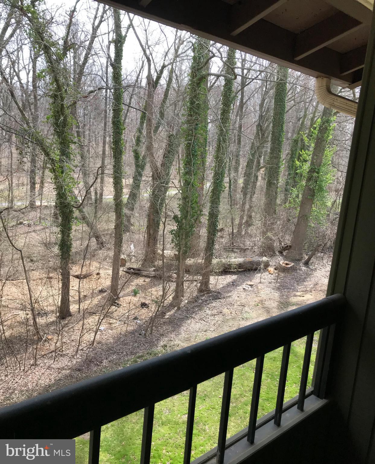 5701 Harpers Farm Road, Unit F Columbia, MD 21044 - Photo 20 of 20 Wooded view from balcony