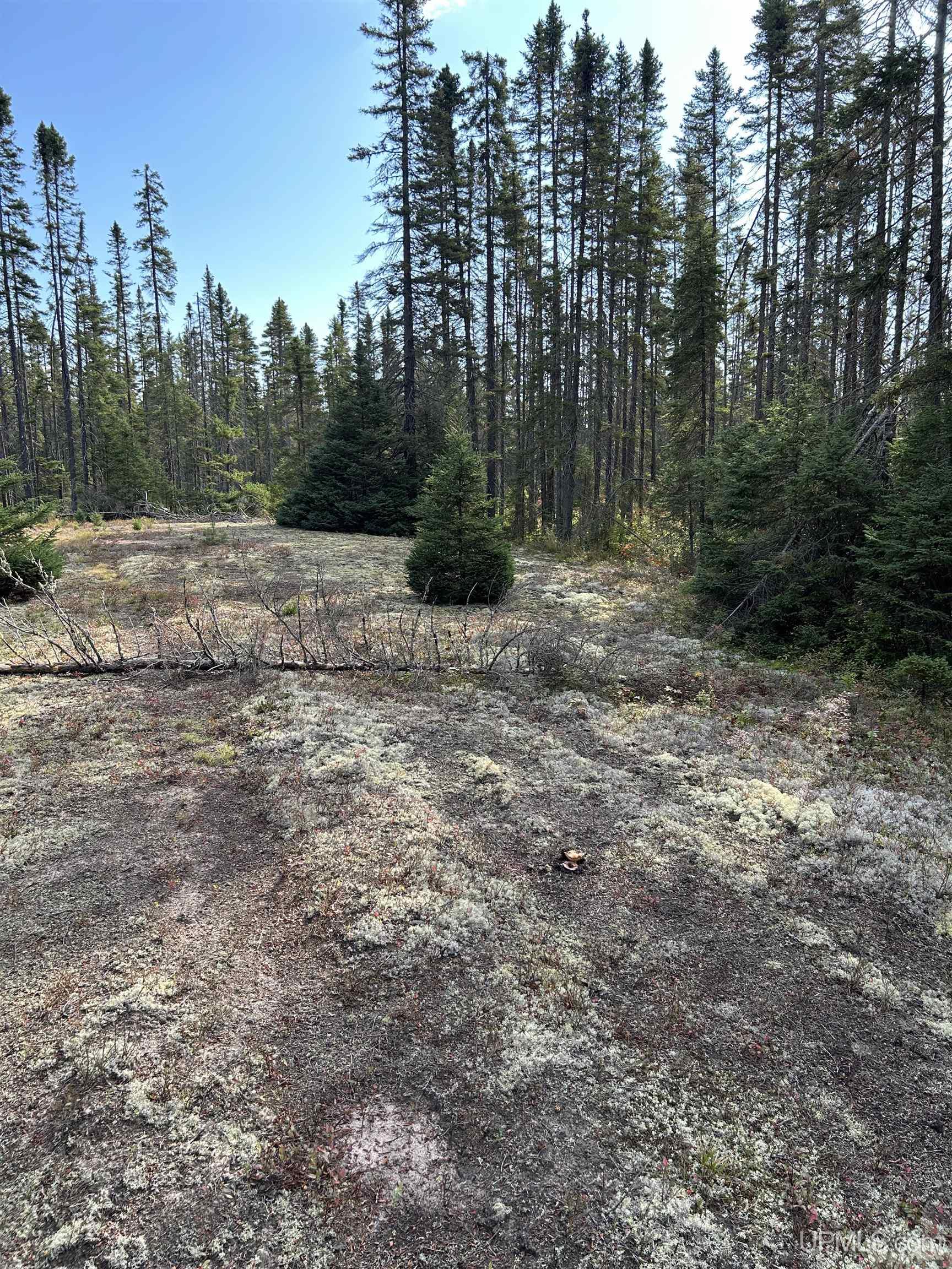 573 Rd Ishpeming Mi 49849 Road Ishpeming, MI 49849 - Photo 11 of 15