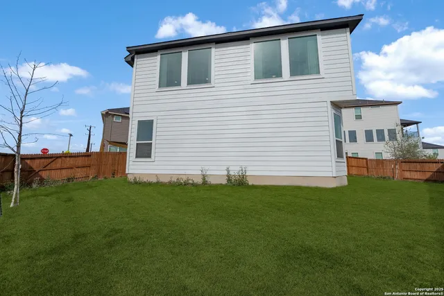 a view of a backyard with plants and large trees