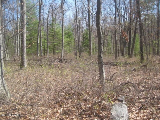 Lot 6 Fox Rdg Pk Drive Hawley, PA 18428 - Photo 4 of 5 IMG_9681