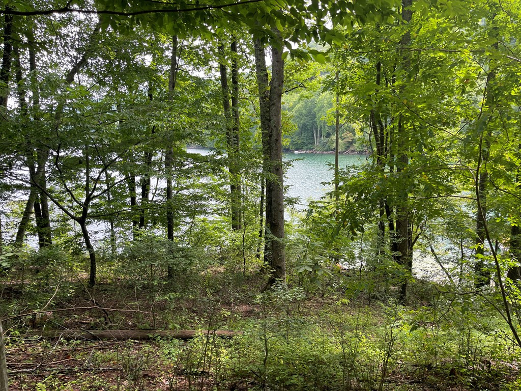 230 Walnut Tree Lane Topton, NC 28781 - Photo 37 of 37