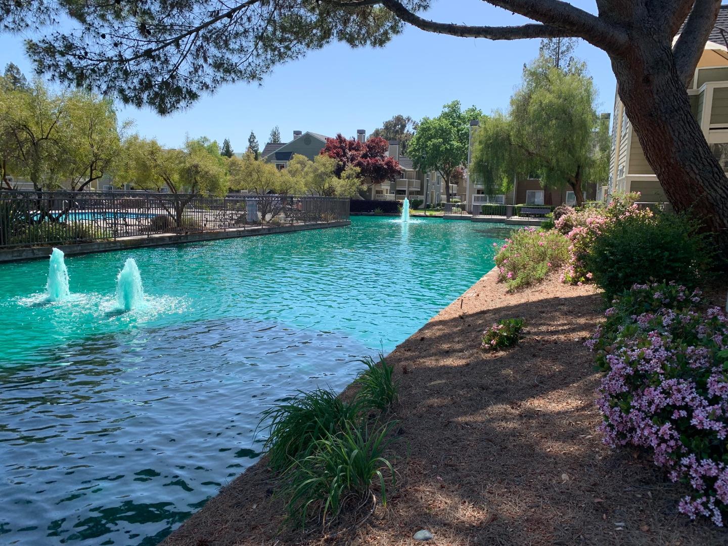 105 Reflections Drive, Unit 15 San Ramon, CA 94583 - Photo 13 of 42 a view of a park with large trees