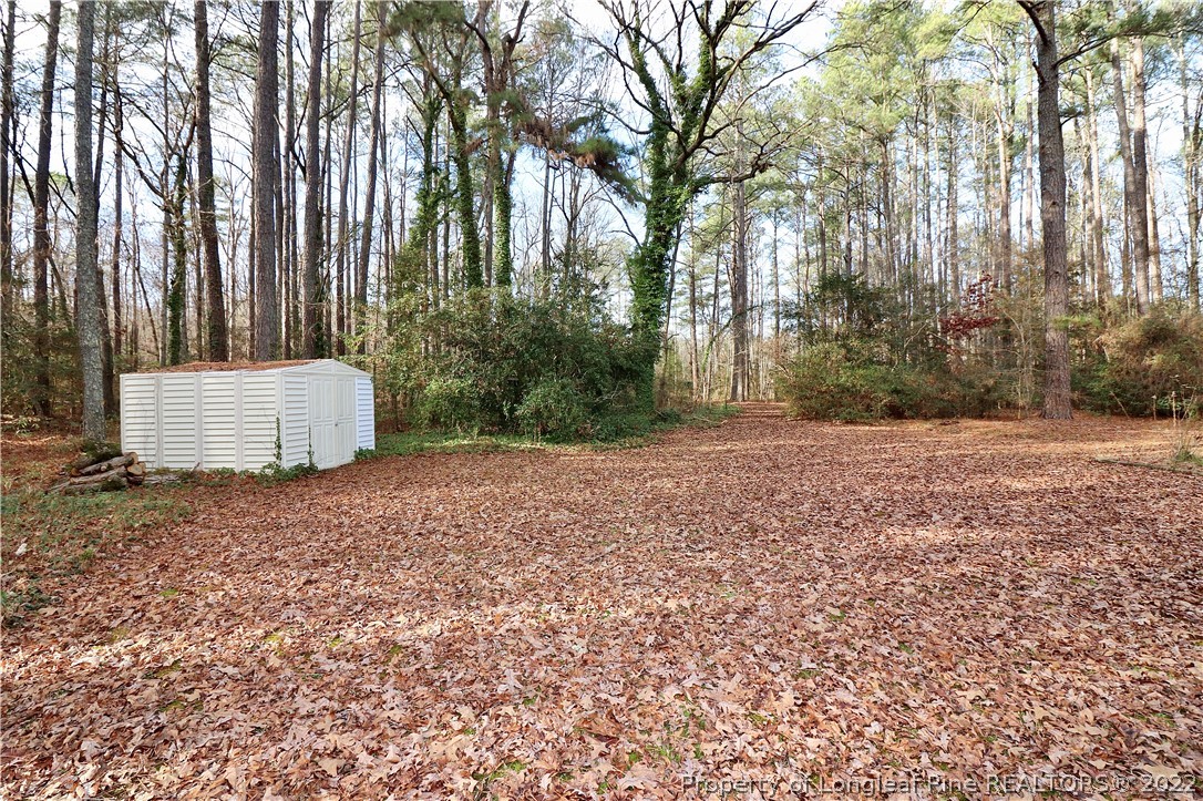 564 Shady Lane Road Carthage, NC 28327 - Photo 20 of 21 a backyard of a house with large trees and plants